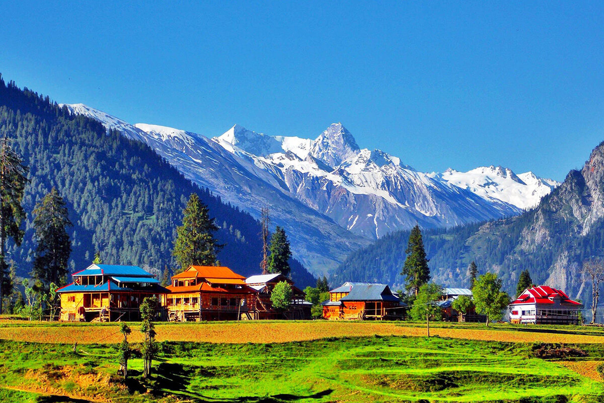 Srinagar/ Pahalgam/ Gulmarg