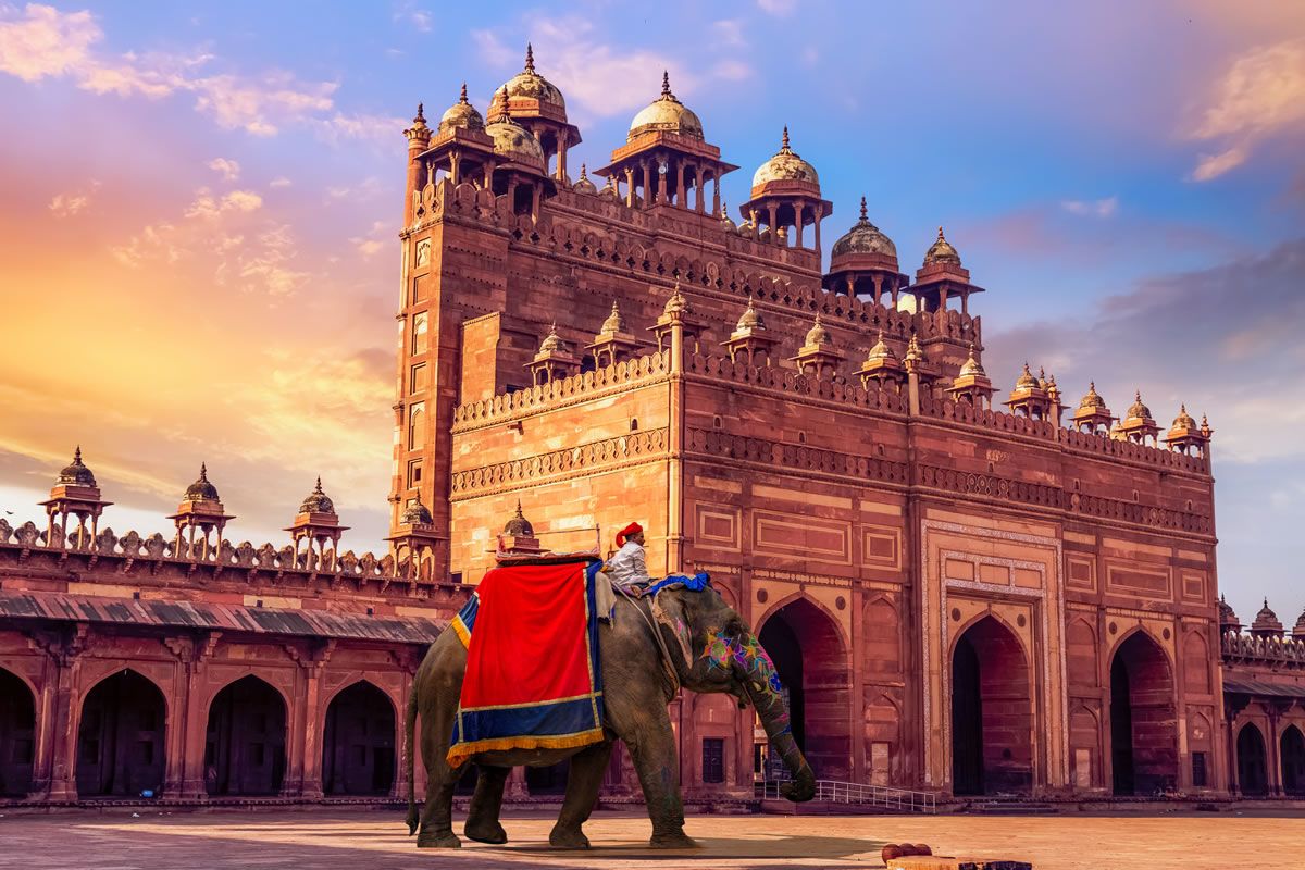 Delhi/  Jaipur/ Agra